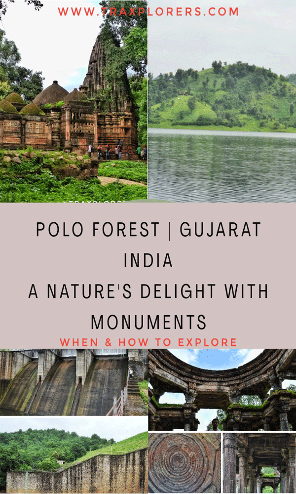 Polo Forest Vijaynagar Gujarat  Best places to visit in Polo Forest 