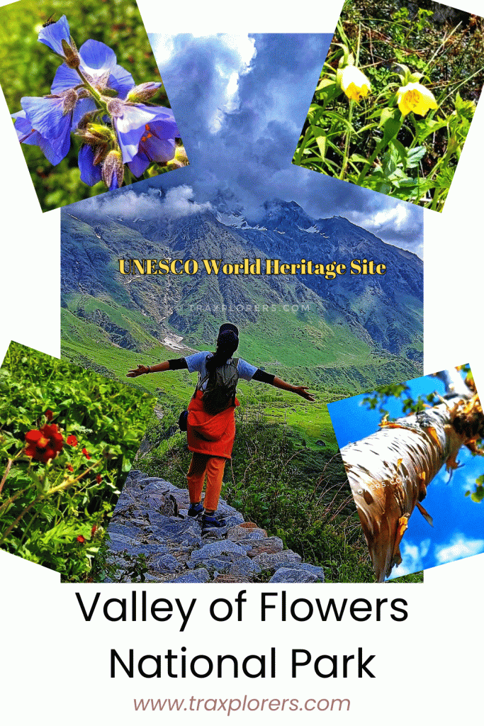 Valley of Flowers Trek Guide + Our June 2025 Experience | UNESCO World Heritage Site | Complete Trek Info, Stay Options & Family Trek with Traxplorers