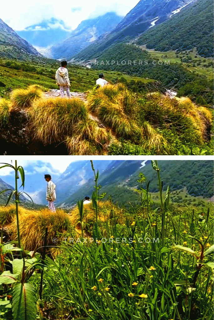 Tipra Valley Valley of Flowers @traxplorers.com