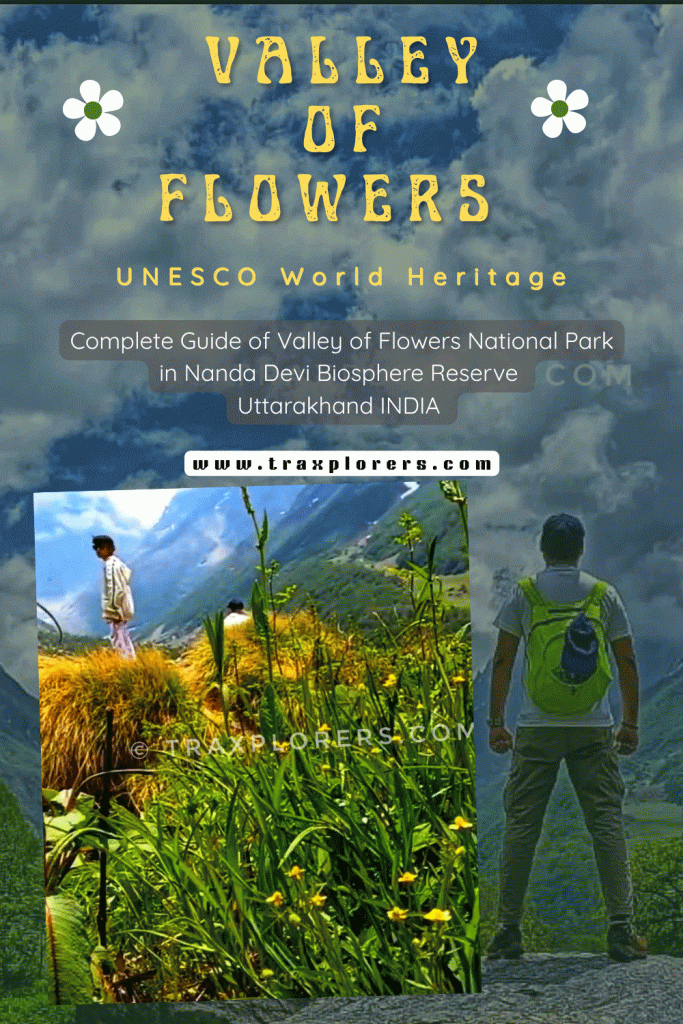 Valley of Flowers Trek Guide + Our June 2025 Experience | UNESCO World Heritage Site | Complete Trek Info, Stay Options & Family Trek with Traxplorers